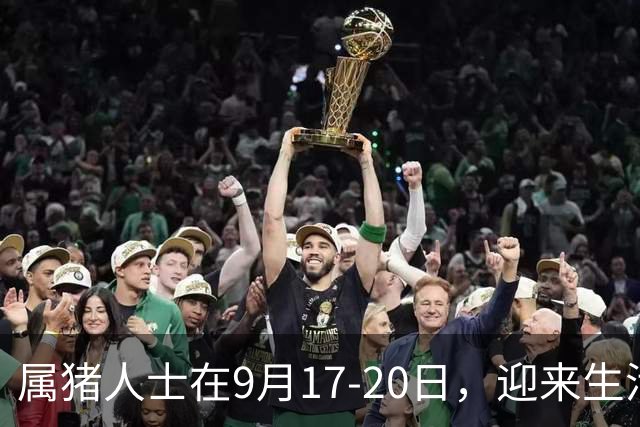 属猪人士在9月17‑20日，迎来生活改善的五个契机