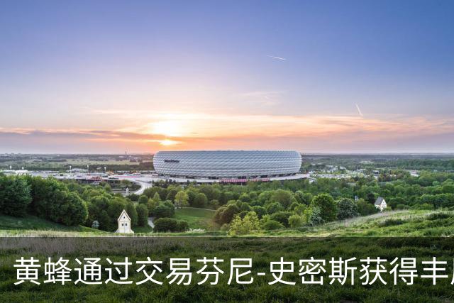 黄蜂通过交易芬尼-史密斯获得丰厚回报